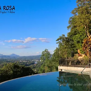  Guest house Rosa